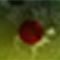This is terminating here (with you inside) por Chaveli Sifre This is terminating here (with you inside) por Chaveli Sifre
